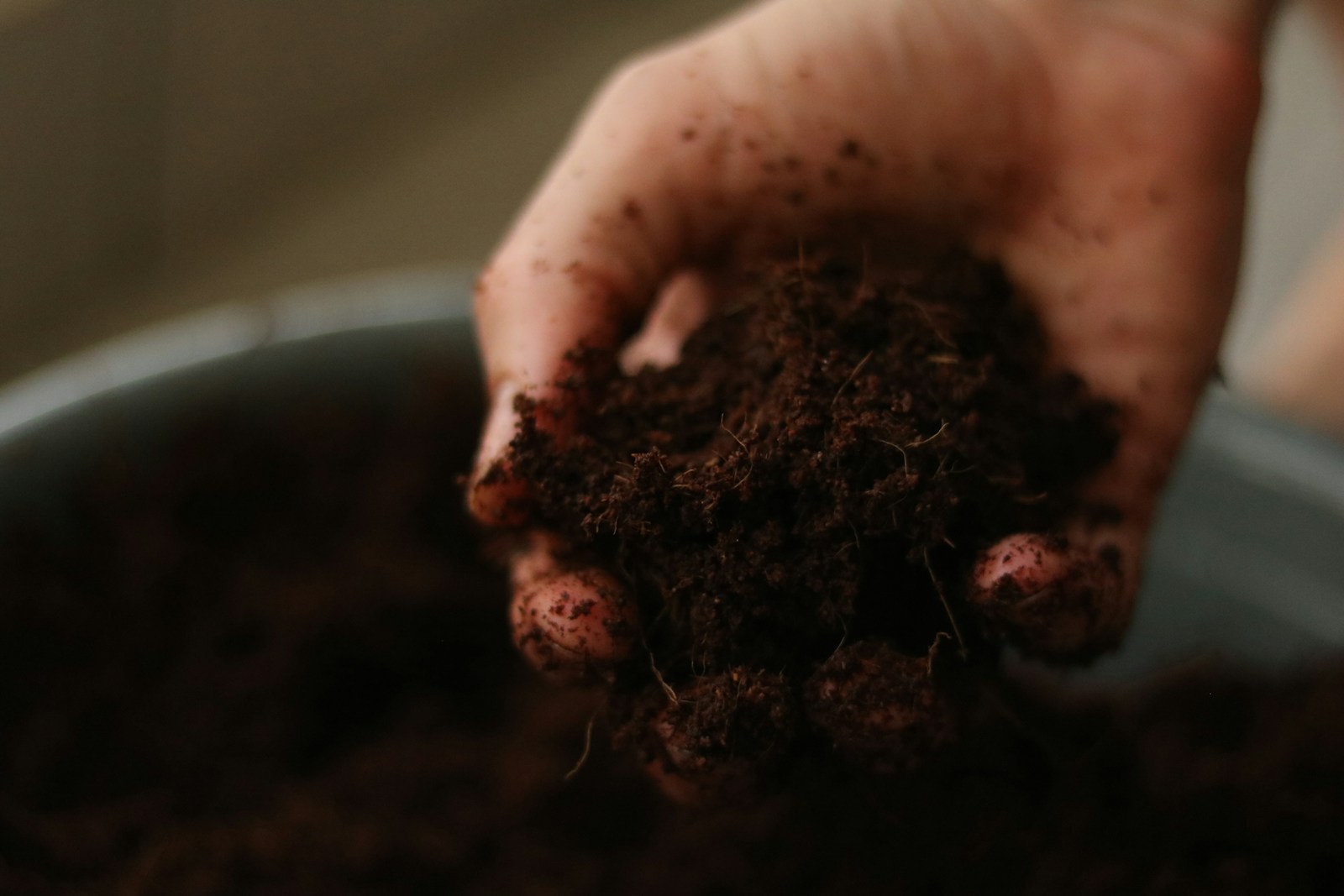 How to Improve Your Soil Naturally