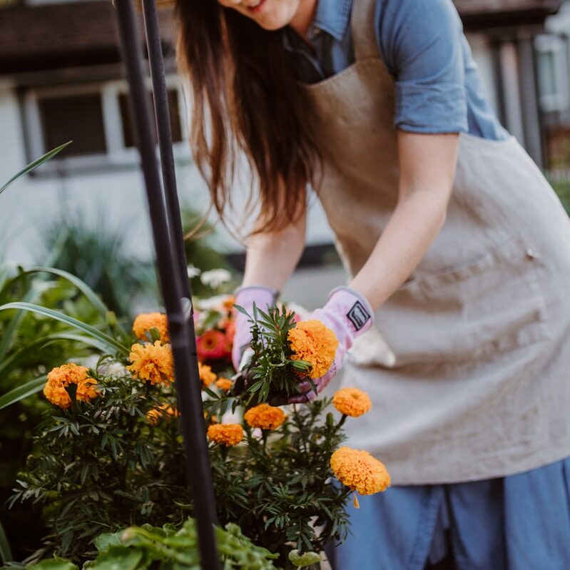 A woman in an apron and hat tending to flowers